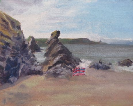 Llangranog Windswept